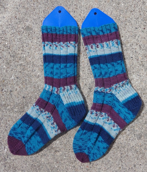 socks knit by Deborah Cooke in Patons Kroy Socks Blue Raspberry
